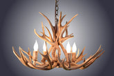 Antler Chandelier - 4 Light Mule Deer